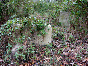 evergreen cemetery