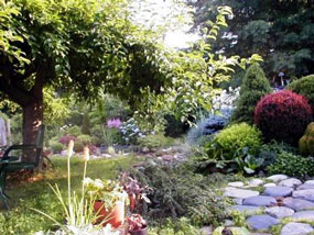 urban_garden_ACORN.jpg