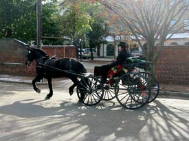Horse and carriage