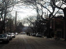 street view with horse and pony